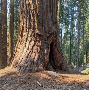 Meet your Posher, Mandy